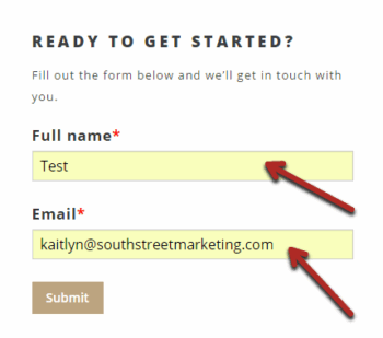 winter park website design