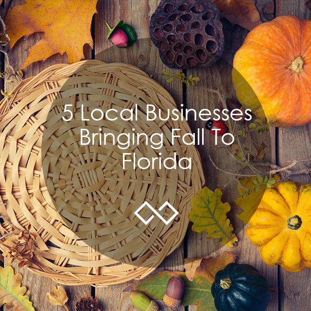 5 Local Businesses Bringing Fall To Florida