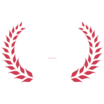 Top SEO Agency 2024