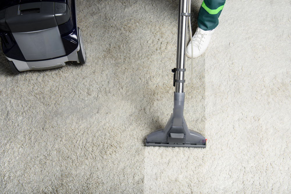 digital marketing for carpet cleaners