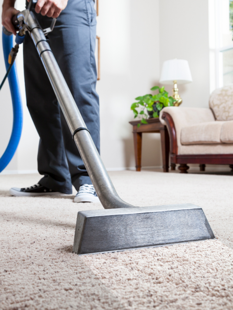 digital marketing for carpet cleaning